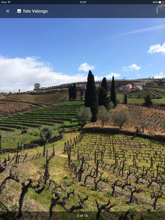 Bed and Breakfast Quinta Do Fojo Lamego Exterior foto