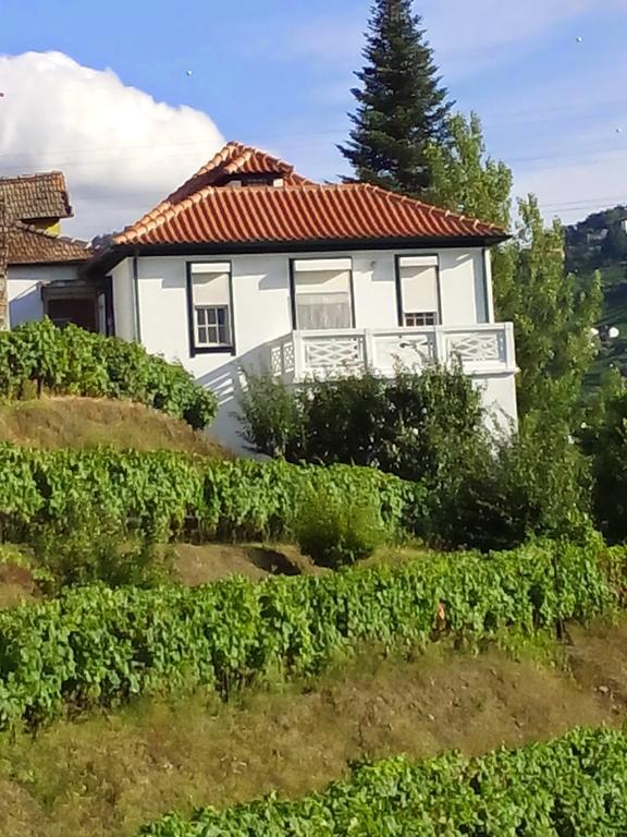 Bed and Breakfast Quinta Do Fojo Lamego Exterior foto