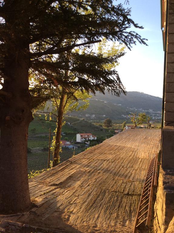 Bed and Breakfast Quinta Do Fojo Lamego Exterior foto