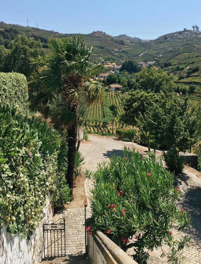 Bed and Breakfast Quinta Do Fojo Lamego Exterior foto